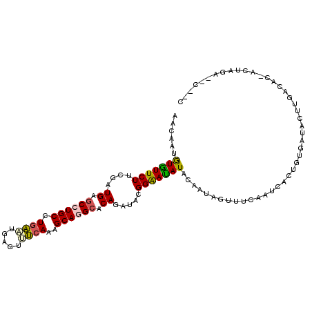 secondary structure