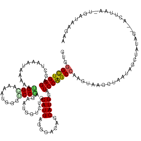 secondary structure