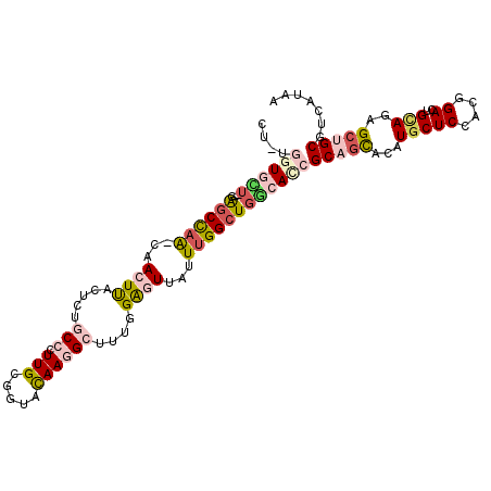 secondary structure