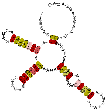 secondary structure