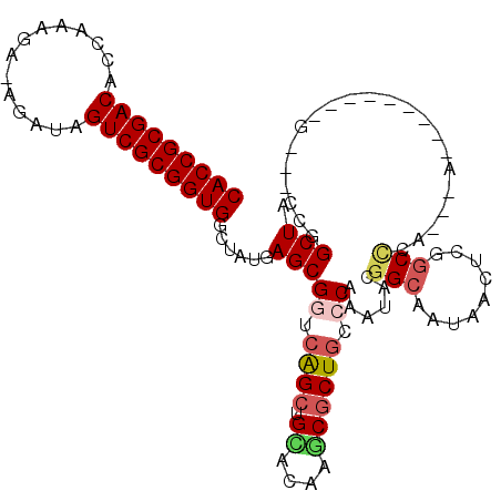 secondary structure