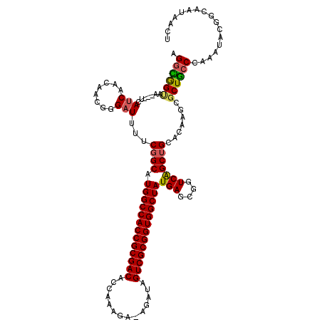 secondary structure