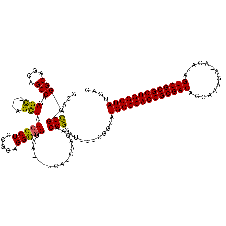 secondary structure