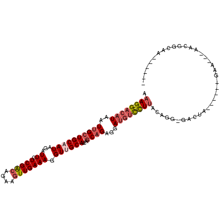 secondary structure