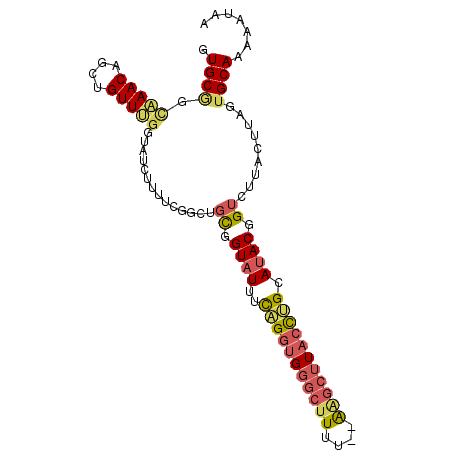 secondary structure