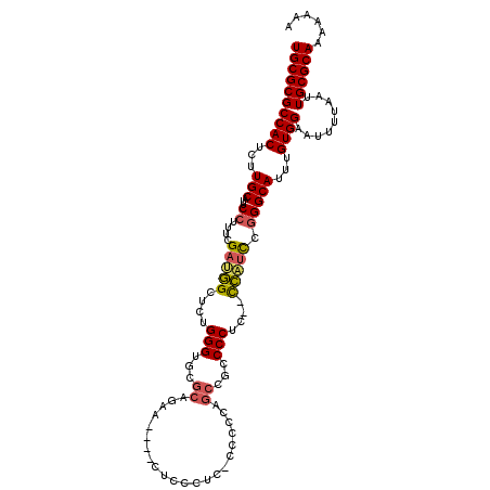 secondary structure