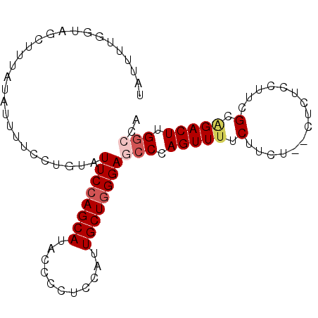 secondary structure