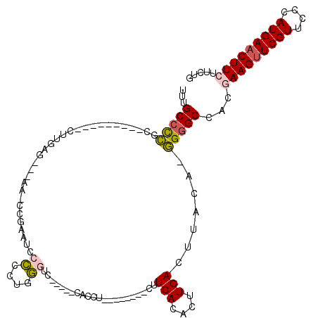 secondary structure