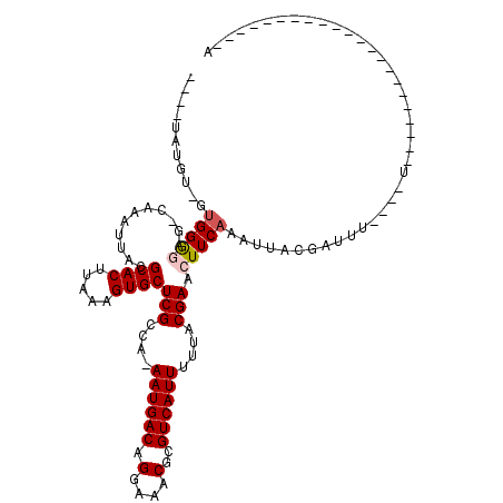 secondary structure