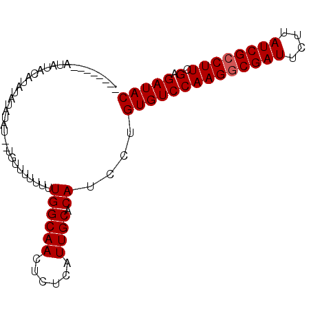 secondary structure