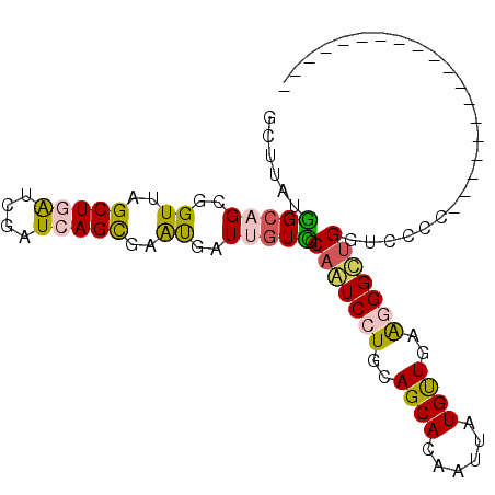 secondary structure