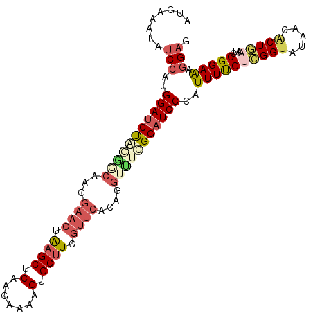 secondary structure