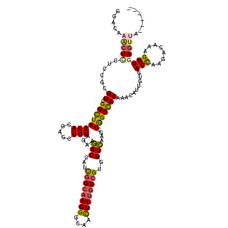 secondary structure