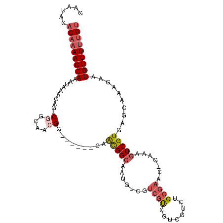 secondary structure