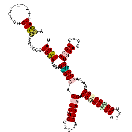 secondary structure