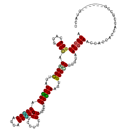 secondary structure