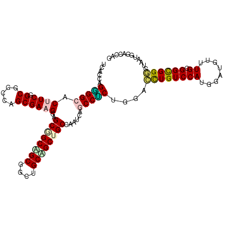 secondary structure