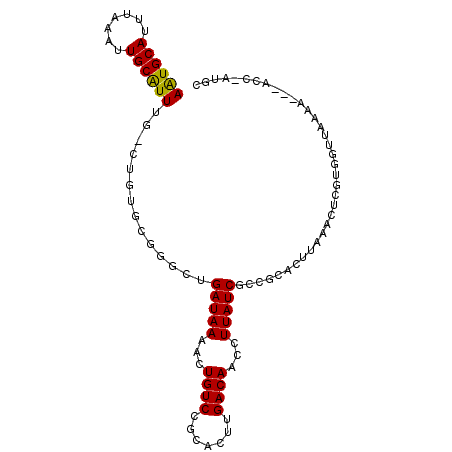 secondary structure