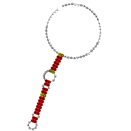 secondary structure