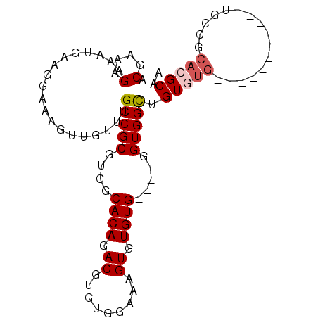 secondary structure