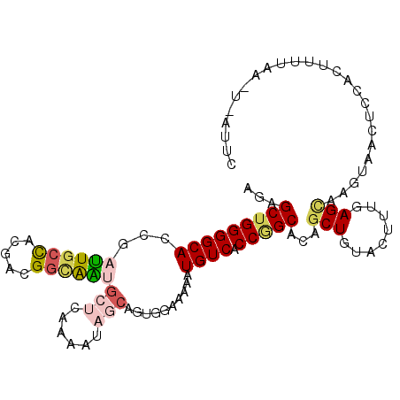 secondary structure