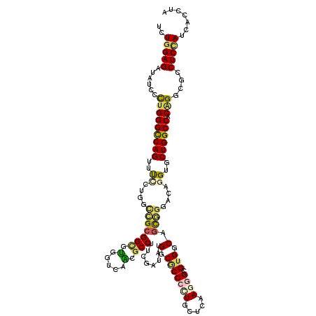 secondary structure