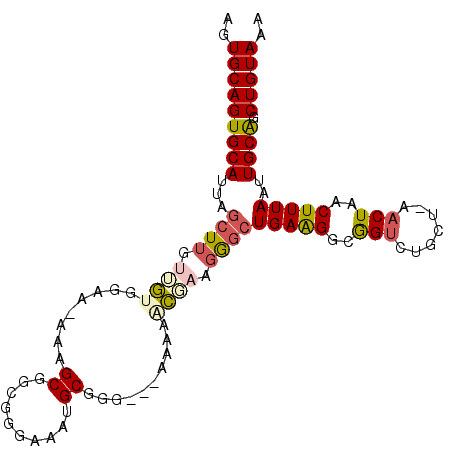secondary structure