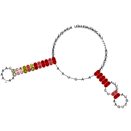 secondary structure