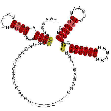 secondary structure