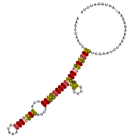 secondary structure