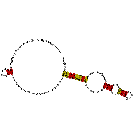 secondary structure