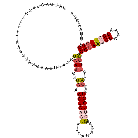 secondary structure