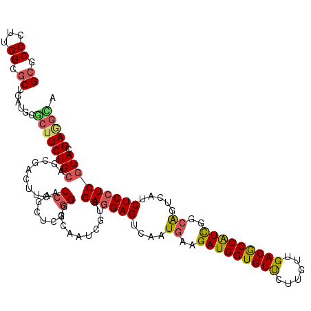 secondary structure