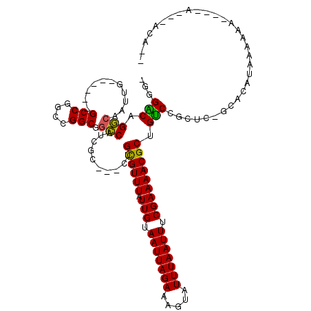 secondary structure