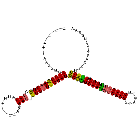 secondary structure