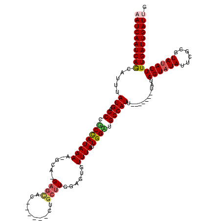 secondary structure