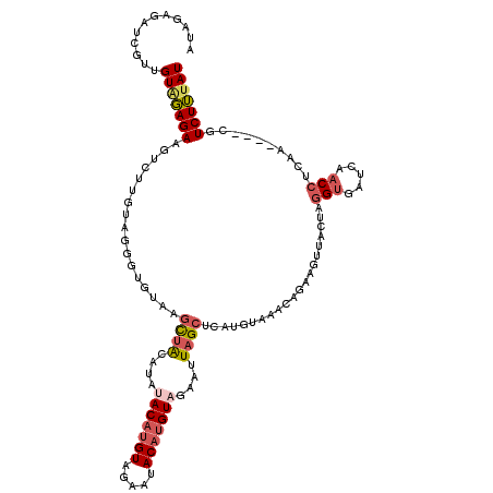 secondary structure