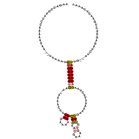 secondary structure