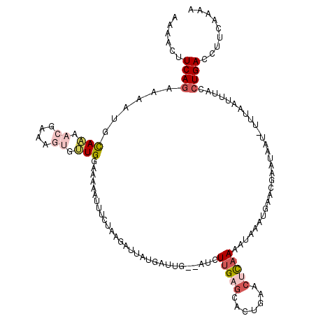 secondary structure