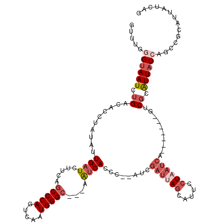 secondary structure