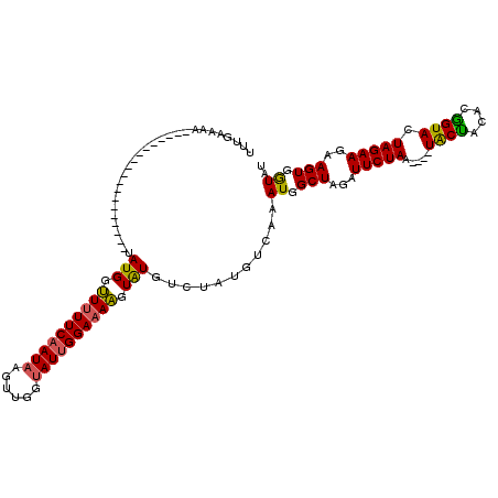 secondary structure