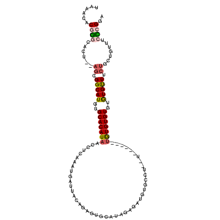 secondary structure