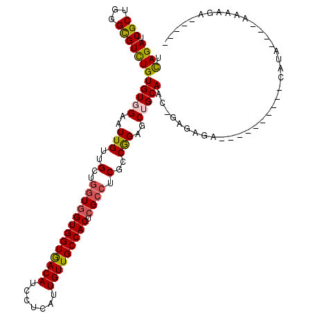 secondary structure