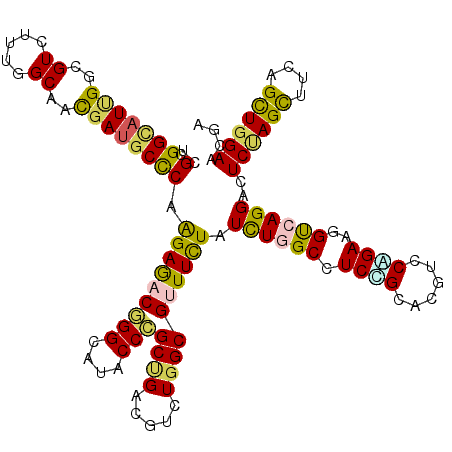 secondary structure