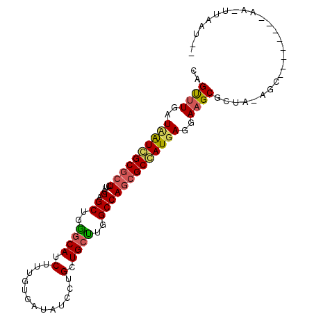 secondary structure
