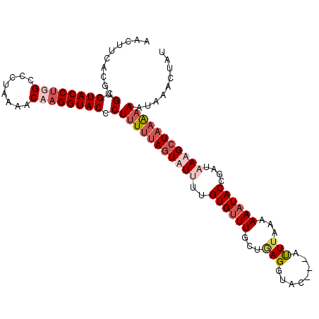 secondary structure