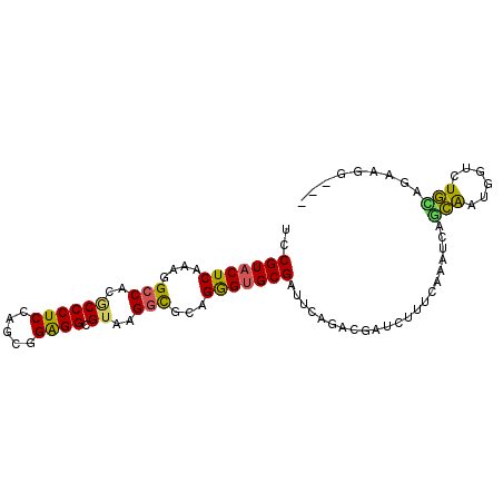 secondary structure