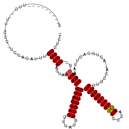 secondary structure