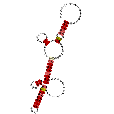 secondary structure