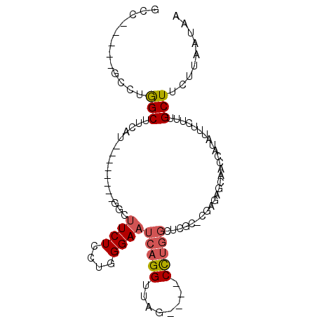 secondary structure